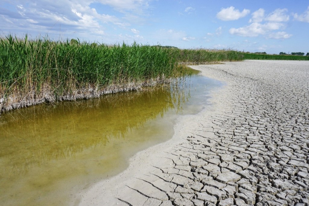 Wichtige Wasserbewirtschaftungsfragen sichern nachhaltige Zukunft unserer&nbsp;Gewässer